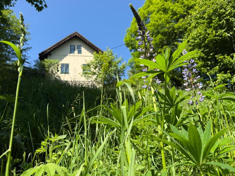 Stříbrná chaloupka Na Vyhlídce - B&B Stříbrnice
