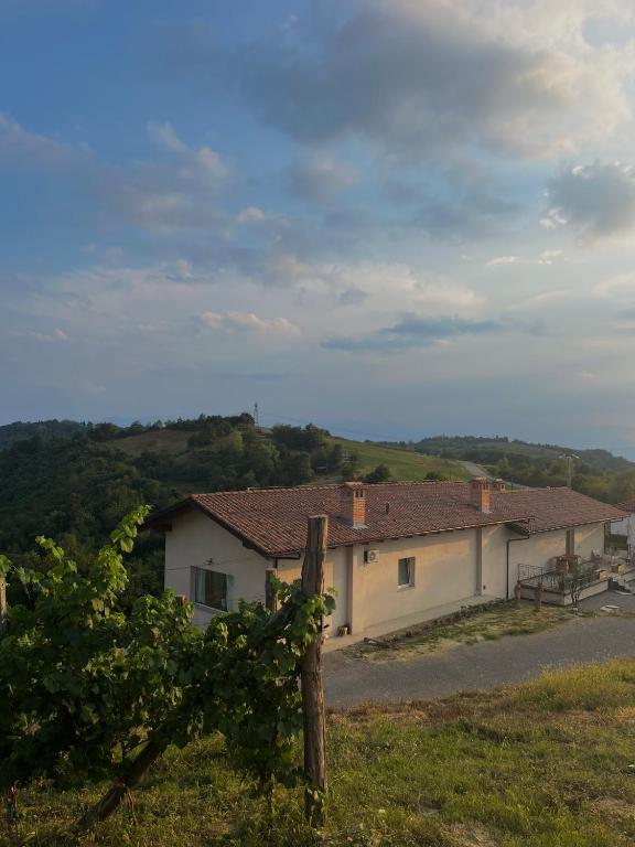 Podere Martina in Altalanga - B&B Murazzano