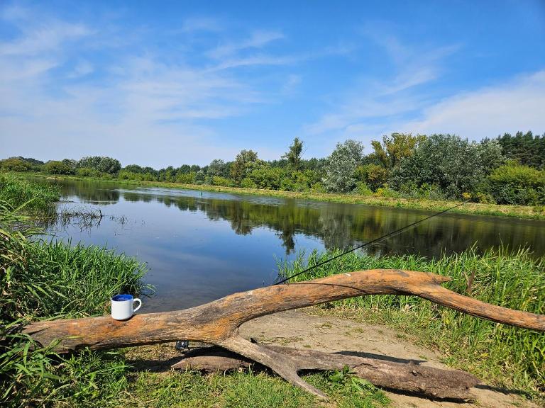 Dom z linią brzegową Narwi 3 - B&B Szygówek