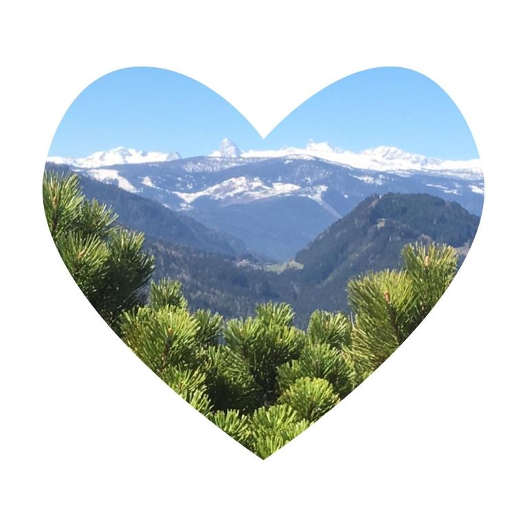 Gasthof Dachsteinblick - B&B Stainach