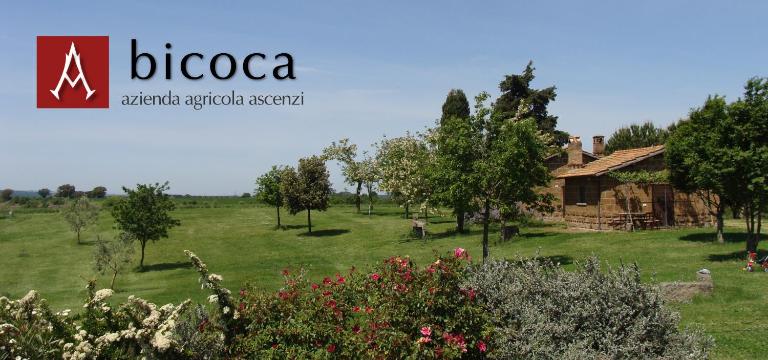 Bicoca - Casaletti - B&B Viterbo
