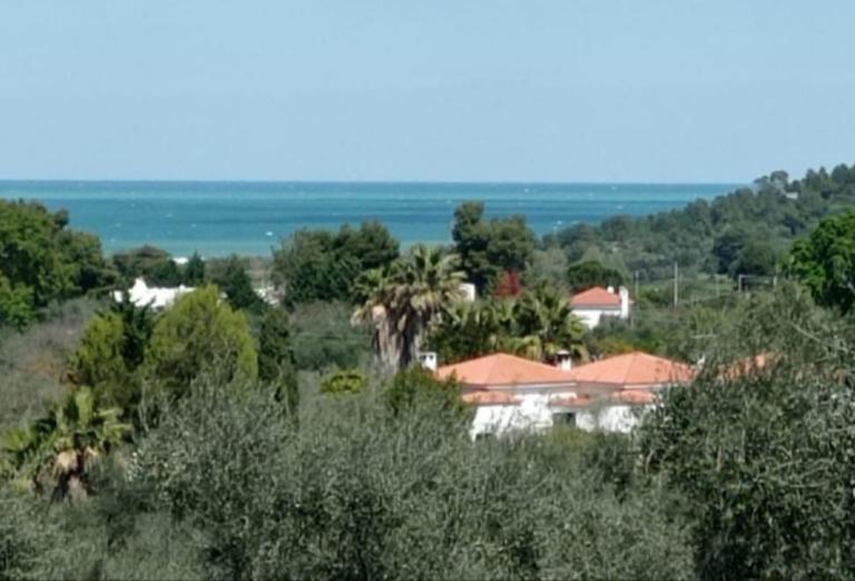 Casa Masseria Le Ville - Bed and Breakfast Peschici