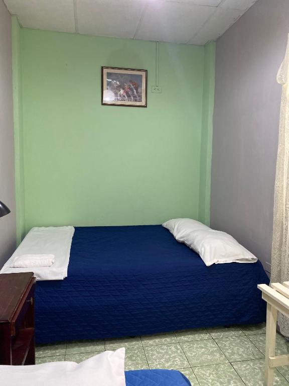 Hotel Las Hortensias - Bed and Breakfast San Salvador