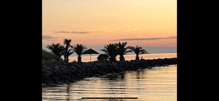 Palm Beach - B&B Frederikshavn