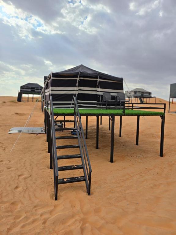 Activities Desert Camp - Chambres d'hôtes Badīyah