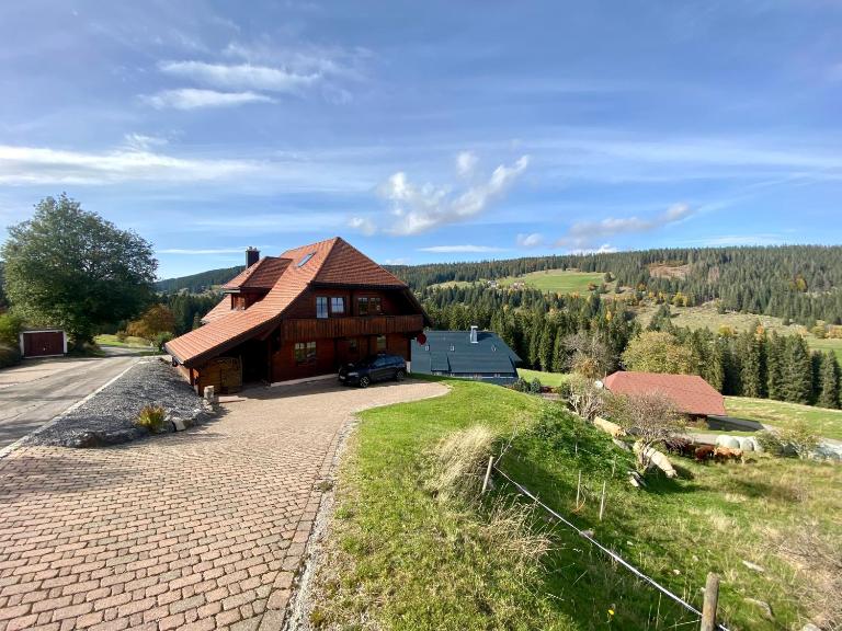 Ferienwohnung Weideblick in Schluchsee Blasiwald im schönen Südschwarzwald - B&B Schluchsee