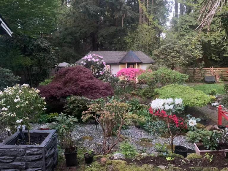 Quiet Backyard Cabin - B&B North Vancouver