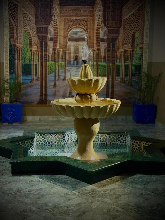 Villa Yassine - B&B Mirleft