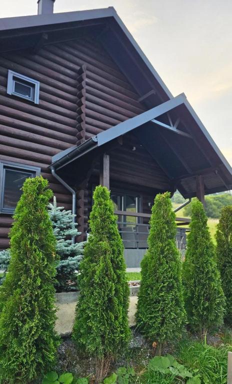 Cottage MiniHouse - B&B Koziova