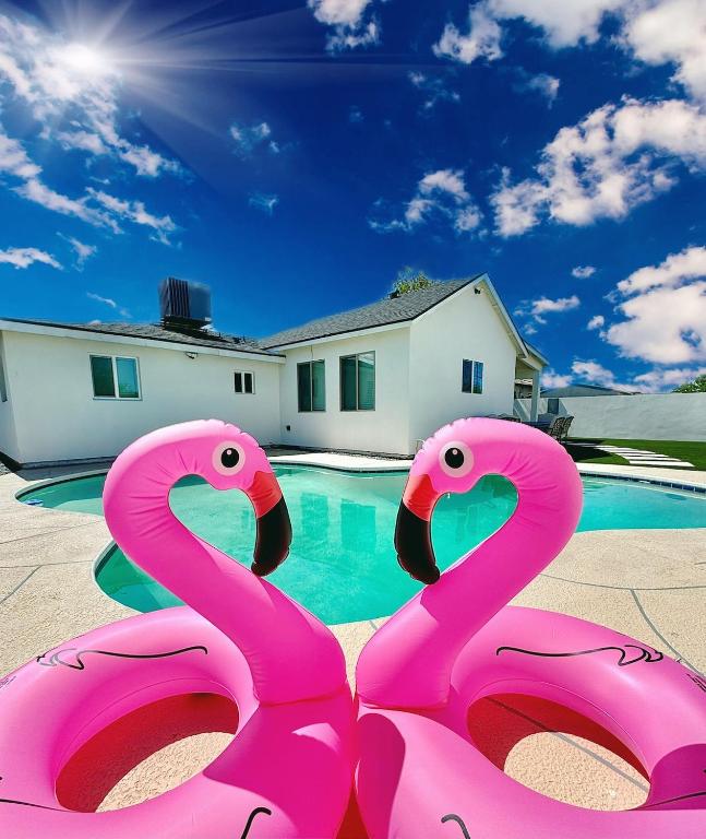 NEW PHX Pool Home With Deep End and Central Location - B&B Phoenix