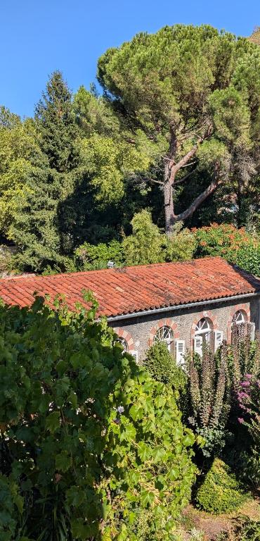 Gîte Wistéria - B&B Mazamet