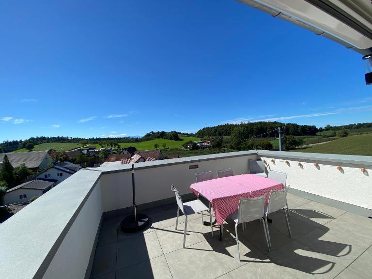 Ferienwohnung Hopfenblick Dachterasse 3SZ Bodenseeregion - B&B Tettnang