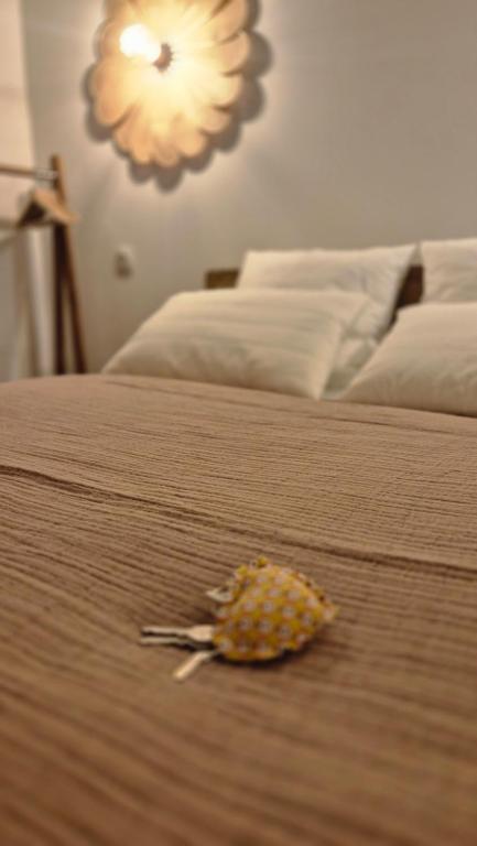 Maison LAVIGNE - B&B Blagnac