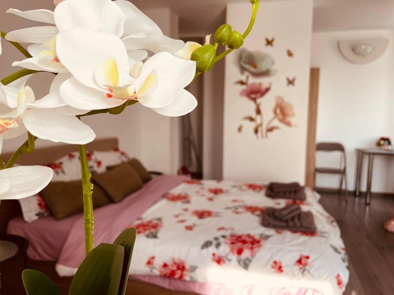 Julia Apartament - Bed and Breakfast Zalău