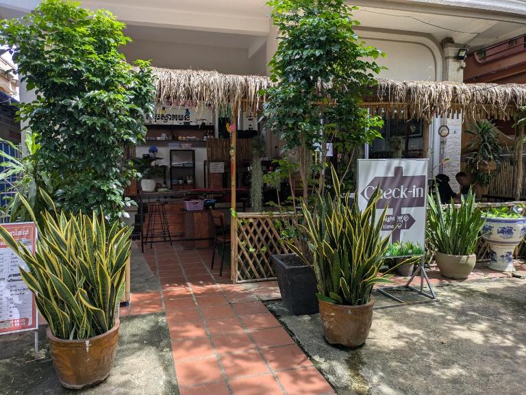 Orchid 101 - B&B Kampot