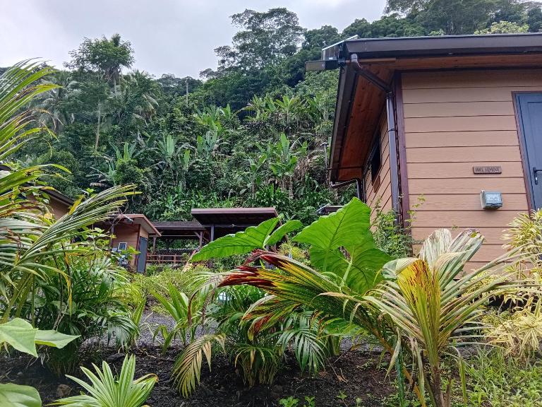 Fare Atihau Vairao - B&B Matiti