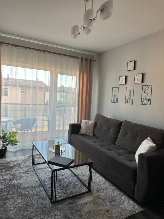 Modern apartment with balcony - B&B Užliedžiai