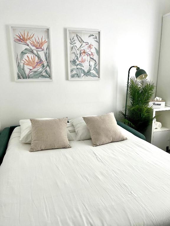Charmant studio parisien au cœur du 15e arrondissement - Chambres d'hôtes Paris