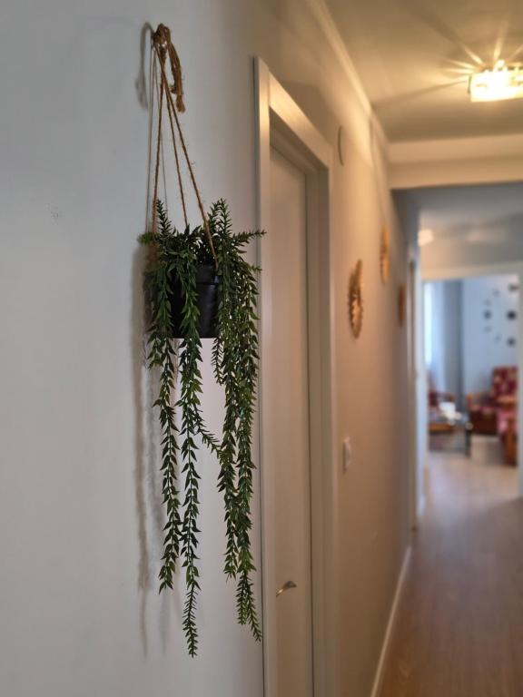 Apart Martínez Rosalía - Ferienwohnung Padrón
