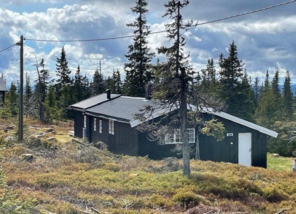 Family Cabin At Birkebeiner Slopes In Sjusjøen - Bed and Breakfast Sjusjøen