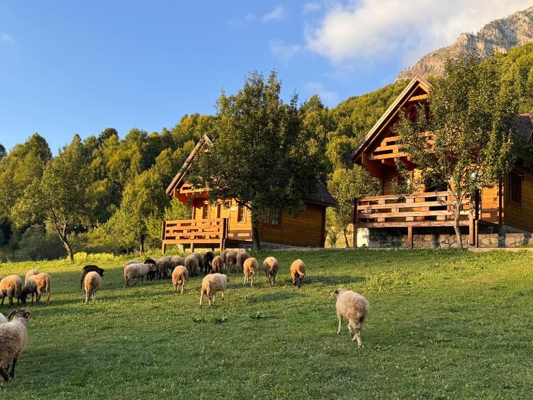 Bujtina Pepushaj Lepushe - Ferienwohnung Lëpushë
