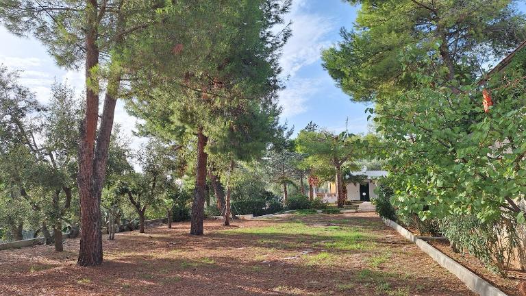 Residence Family House - Ferienwohnung Vieste