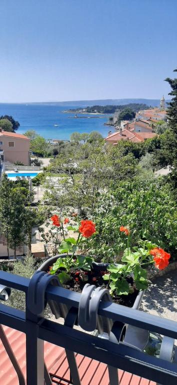 Apartman Petra - B&B Krk