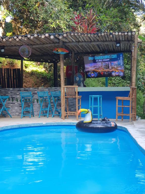 Plaza Tucanito - jungle up your life - Chambres d'hôtes Cahuita