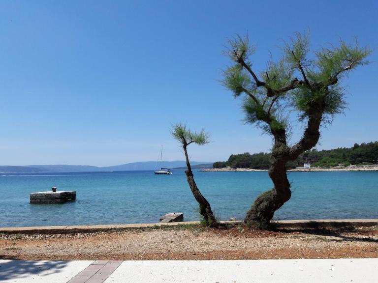 Apartment Summer Dream - B&B Punat