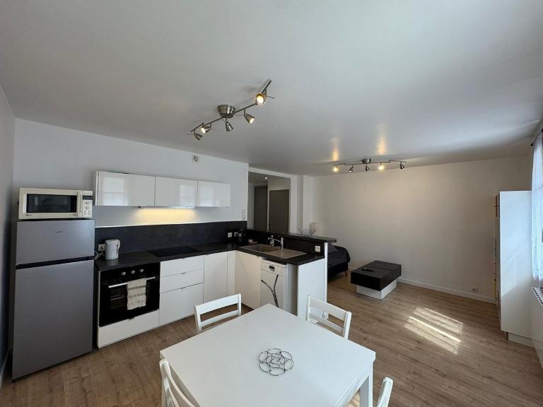Charming 2 bedroom 60 m2 3-room apartment in Grenoble center - B&B Grenoble