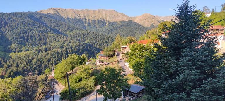 pasithea mountain rooms - B&B Fylaktí