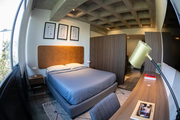 Modern Loft in Roma Norte, Zona Trendy - B&B Città del Messico