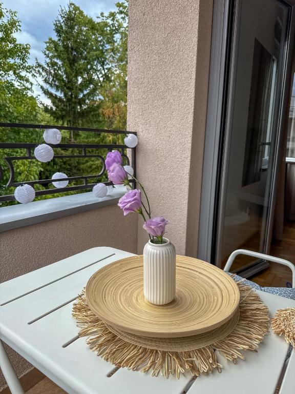 Apartman 7 - Bed and Breakfast Vrnjačka Banja