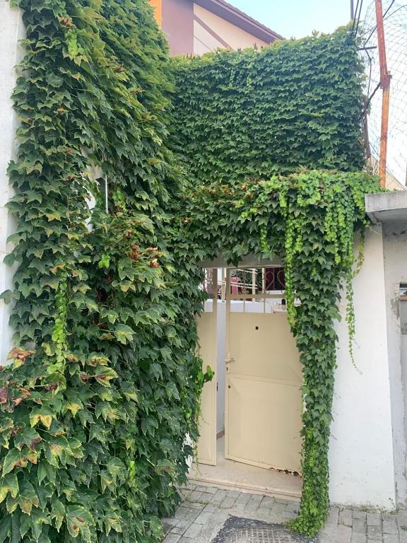 House of Leaves - B&B Berat
