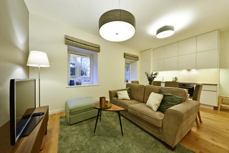 Domillion 3bdr 2baths President Palace park L419A - B&B Vilnius