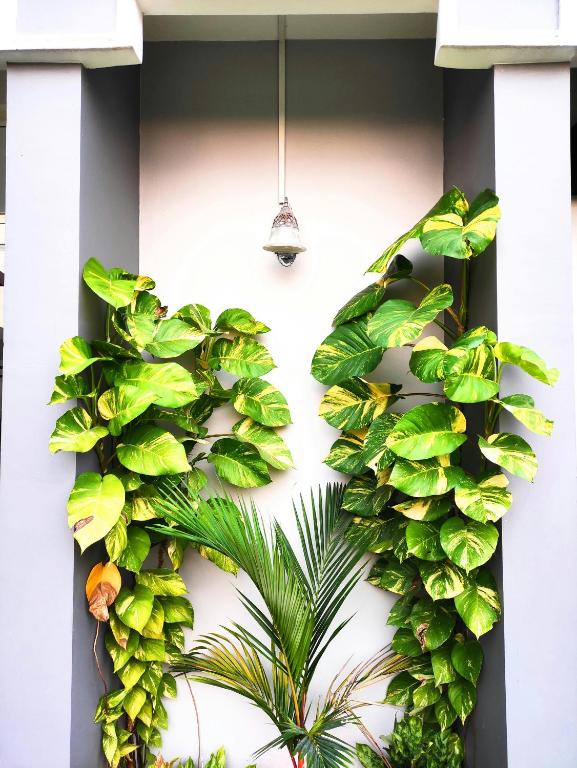 Downtown Manor-Panavila - B&B Thiruvananthapuram