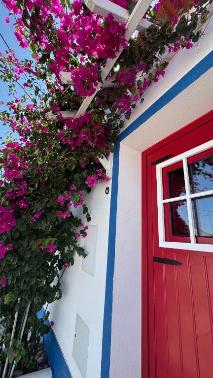 Casa Vó Briata - Bed and Breakfast Mértola