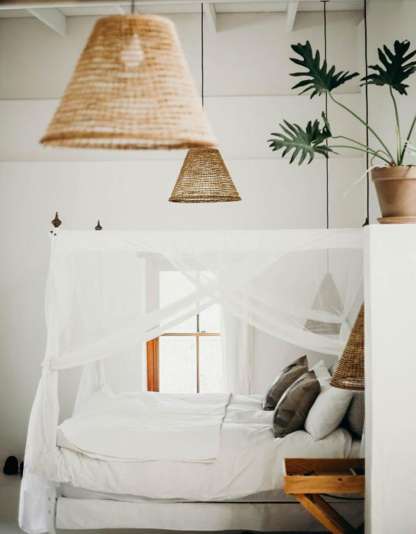 Watsonia Cottage at Waboom Family Farm - Bed and Breakfast Stanford