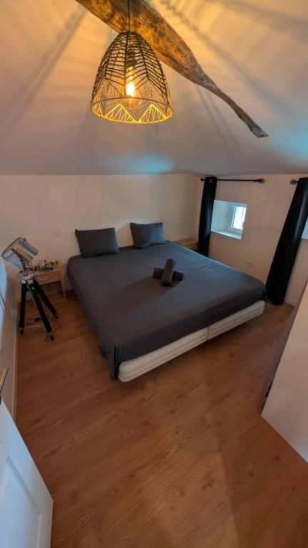 Charmant T2 tout confort, à deux pas du centre - Bed and Breakfast Lisle-sur-Tarn