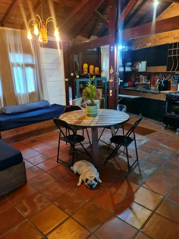 Aconchego Rústico em Alter do Chão, 4min da ilha - B&B Alter do Chão