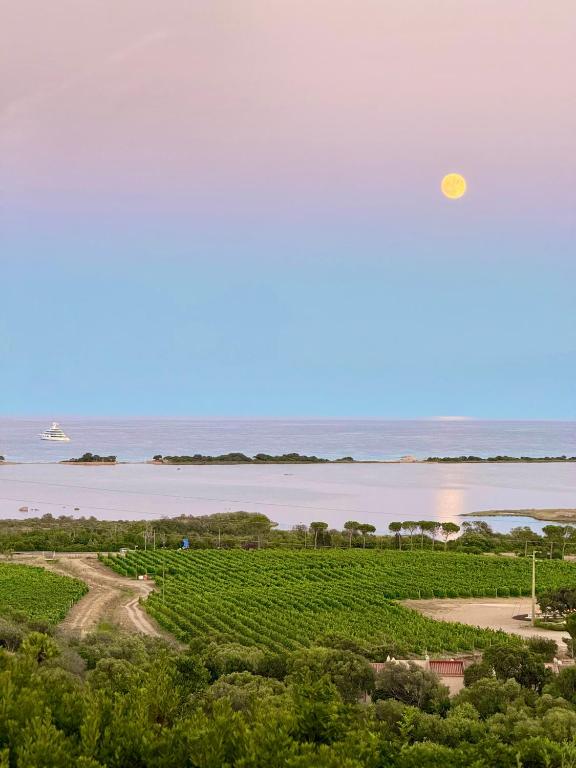 La Minditta - Chambres d'hôtes San Teodoro
