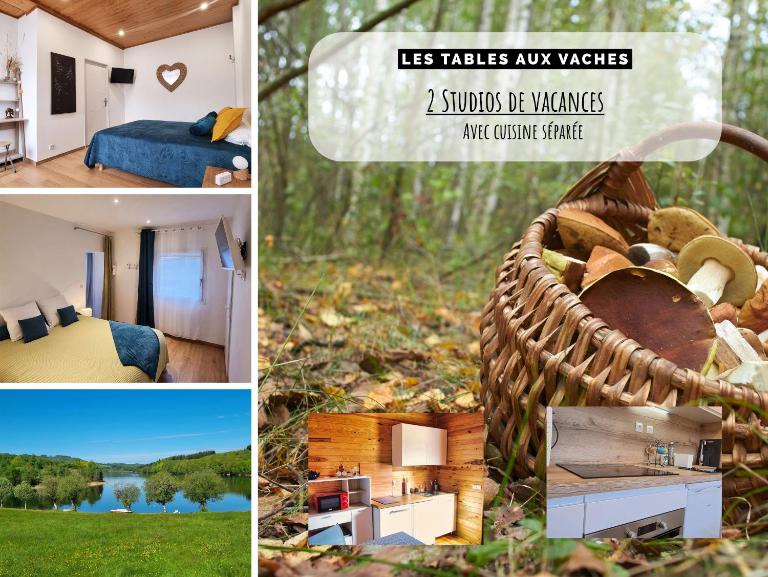 Chambres d'Hôtes avec cuisine au lac de la Raviège - Les Tables Aux Vaches - B&B La Salvetat-sur-Agout