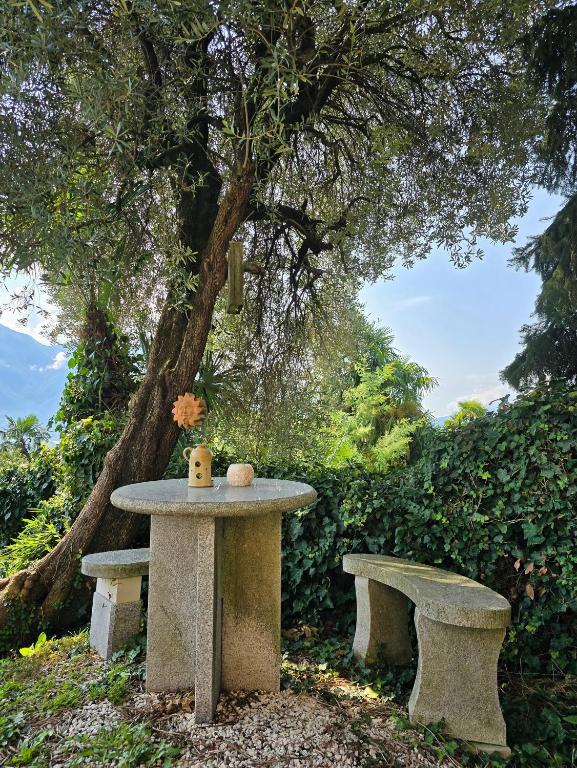 Villa Ida Früh by Holap SA - Chambres d'hôtes Locarno