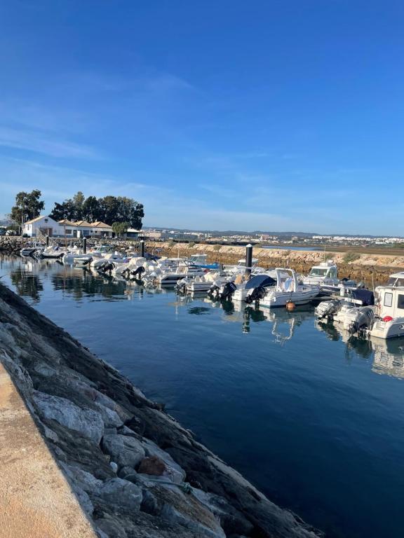 Retorno da pesca - Bed and Breakfast Fuzeta