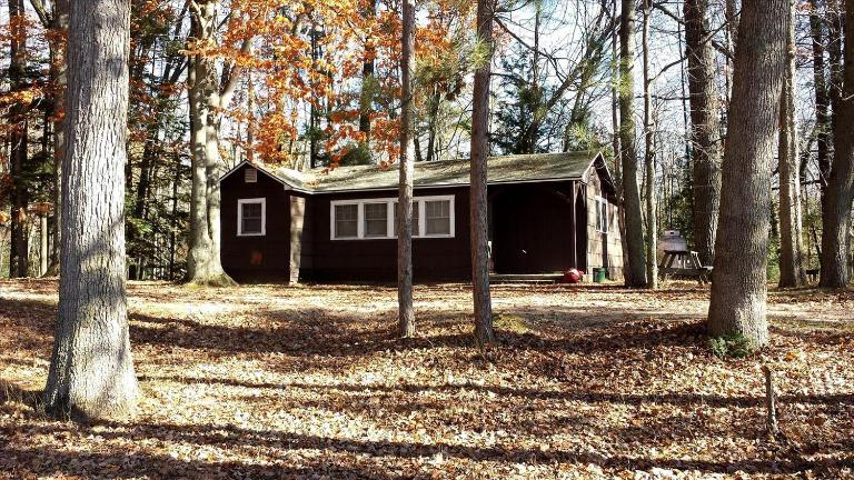 Gorgeous Getaway Cabin in the Woods near Lake Michigan in Wellston, Michigan - Bed and Breakfast Wellston
