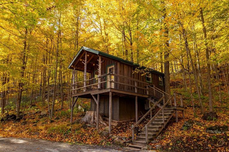 Treehouse Cabin in Riverton, WV - Chambres d'hôtes Riverton