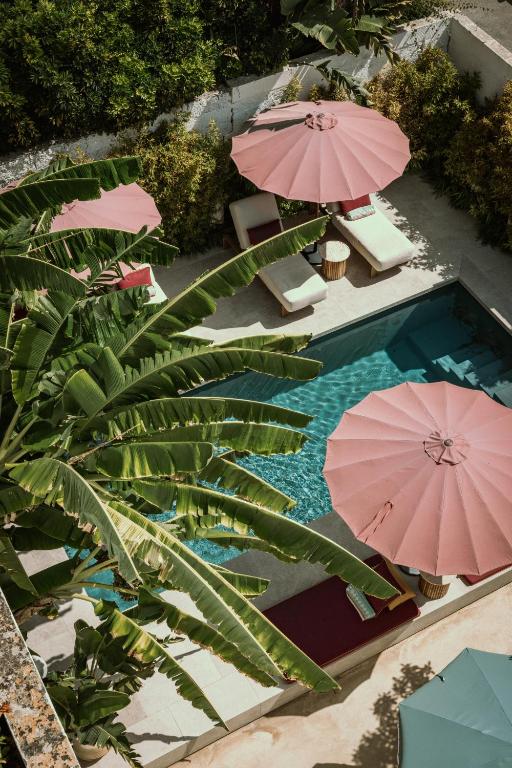 Palazzo Piccinno - Bed and Breakfast Parabita