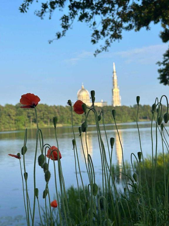 DOMKI Nad Jeziorami Niedźwiady - B&B Ślesin