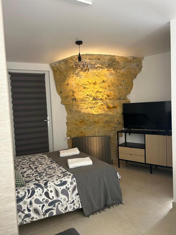 Studio cosy proche d Amboise - Chambres d'hôtes Vouvray