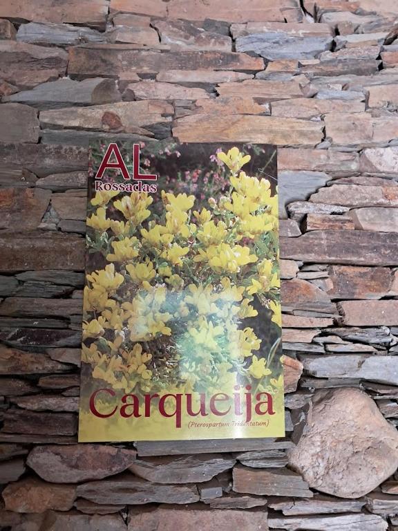 AL Rossadas Carqueija - B&B Arganil